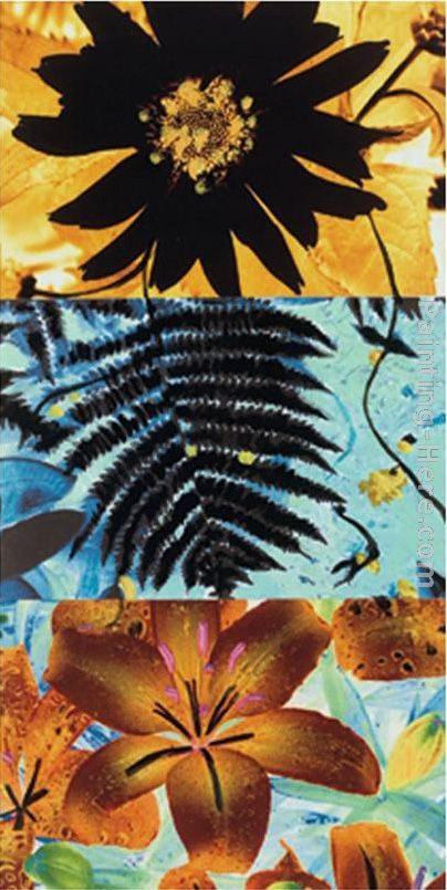 Jaquiel Petals and Leaves II